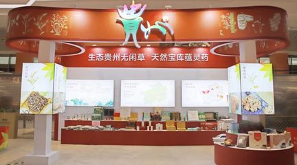 黔藥出山新窗口 貴州中藥材館常駐亳州，近400種道地藥材集中亮相